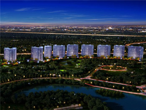 路记老味儿煎饼