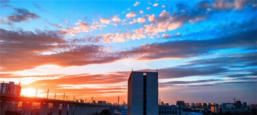 茉莉香鸭颈王 卤味