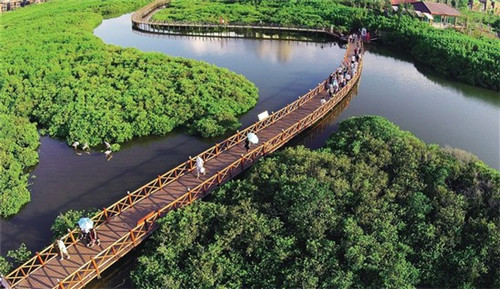 开了家大益茶庭亏损的多吗