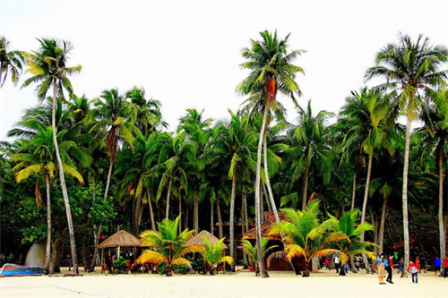 牛鞭餐厅加盟费多少