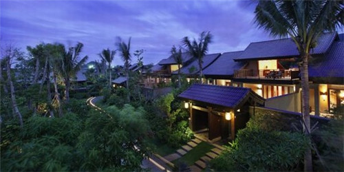 炒番茄土豆卷心菜怎么炒（番茄卷心菜土豆汤）