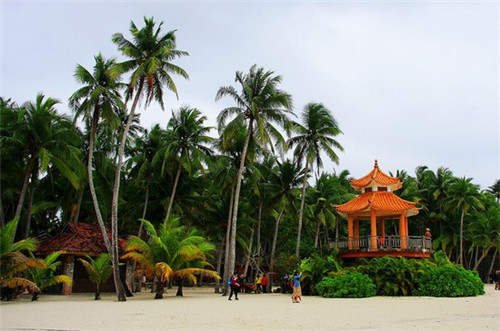 抖音号抖音码能删除吗（抖音号能找回密码吗）