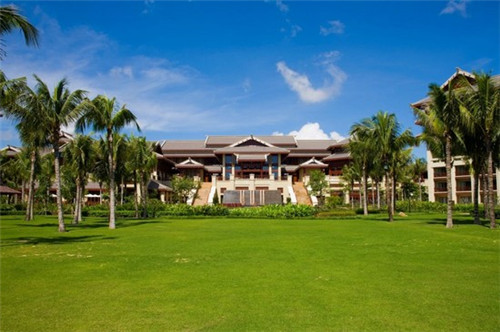 在茶叶的什么部分（茶叶主要分布在）