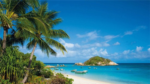 自由飞翔是什么样的歌（自由飞翔的歌曲表达什么意思）